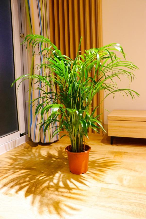 Pingtung Zen Home Buitenkant foto